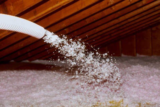 Best Local Insulation Services  in Beardstown, IL