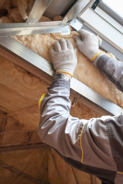 Best Garage Insulation Installation  in Beardstown, IL