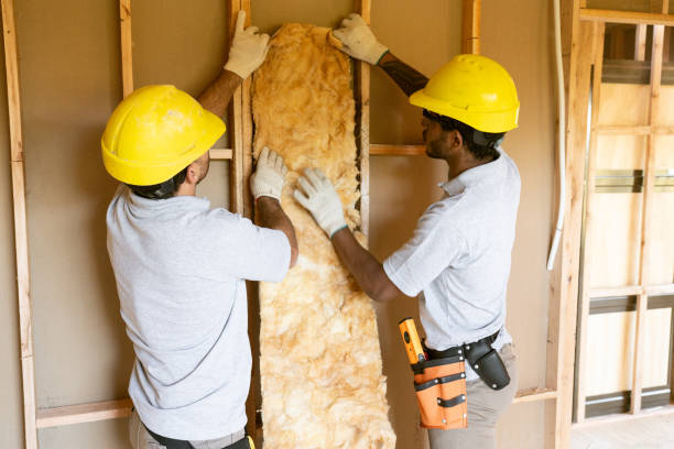 Best Insulation Removal  in Beardstown, IL