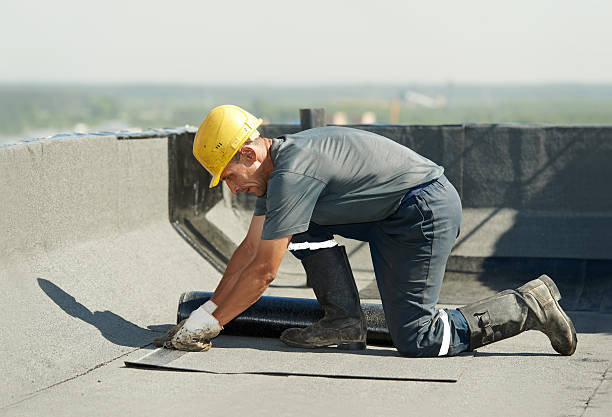 Best Insulation Contractor Near Me  in Beardstown, IL
